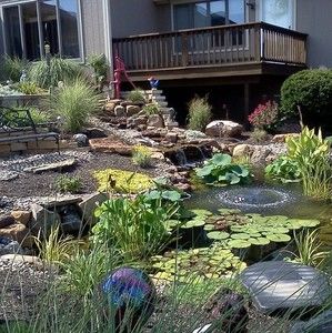 Meet your Posher, Janice